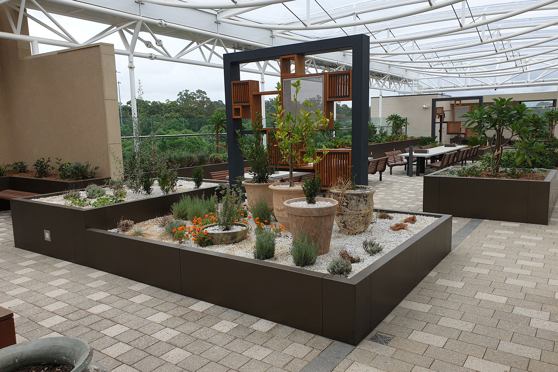 Macquarie University Project